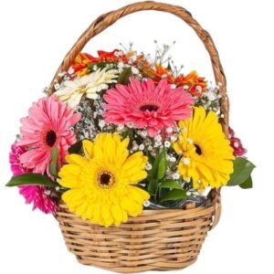 Canasta con Gerberas