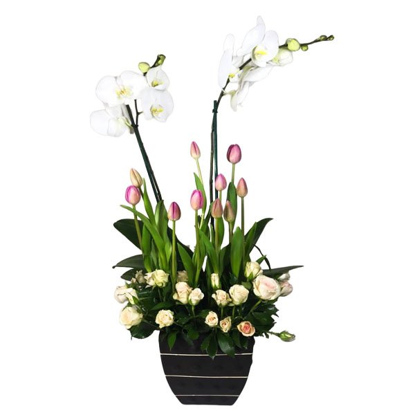 Orquidea con Tulipan y Mini Rosas