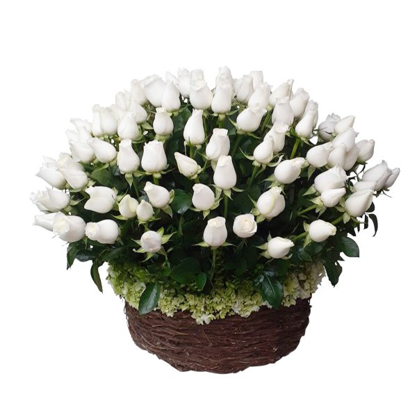 Paz eterna con rosas