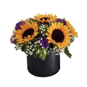 Girasoles Seducción