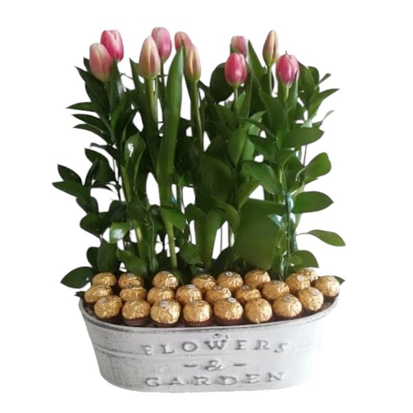 Dulces Tulipanes