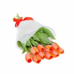 Ramo de 10 tulipanes