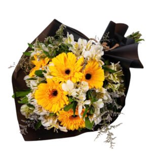 Ramo de gerberas Mil Sonrisas - entrega mismo dia